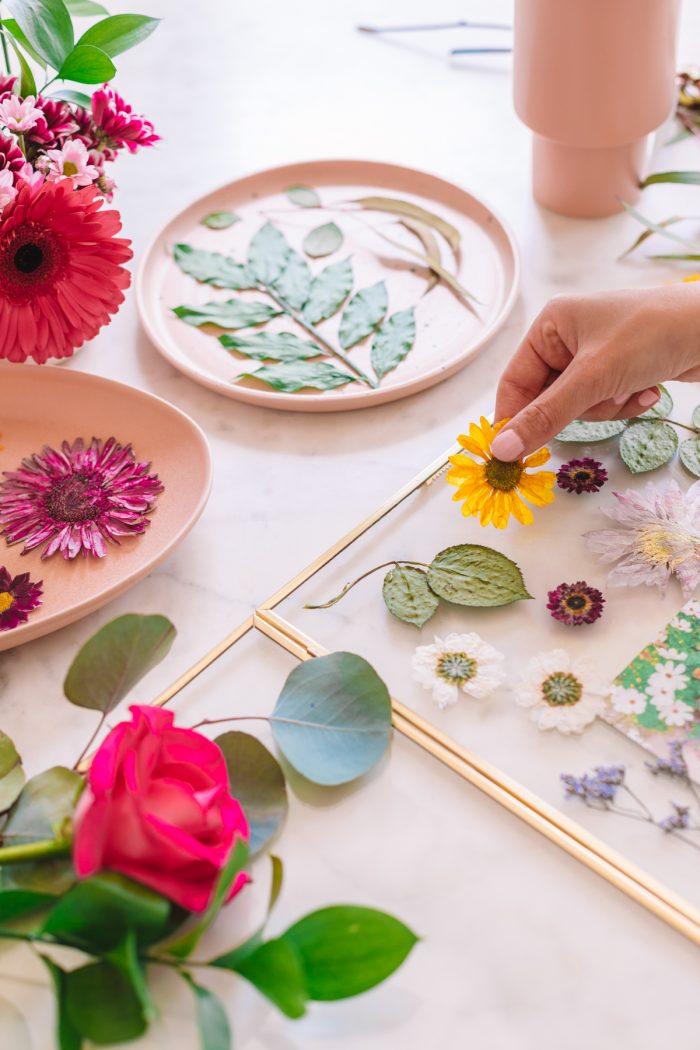 🌸 Unlocking the Art of Pressed Flower Frames: Best Flowers to Use for Botanical Wall Art
