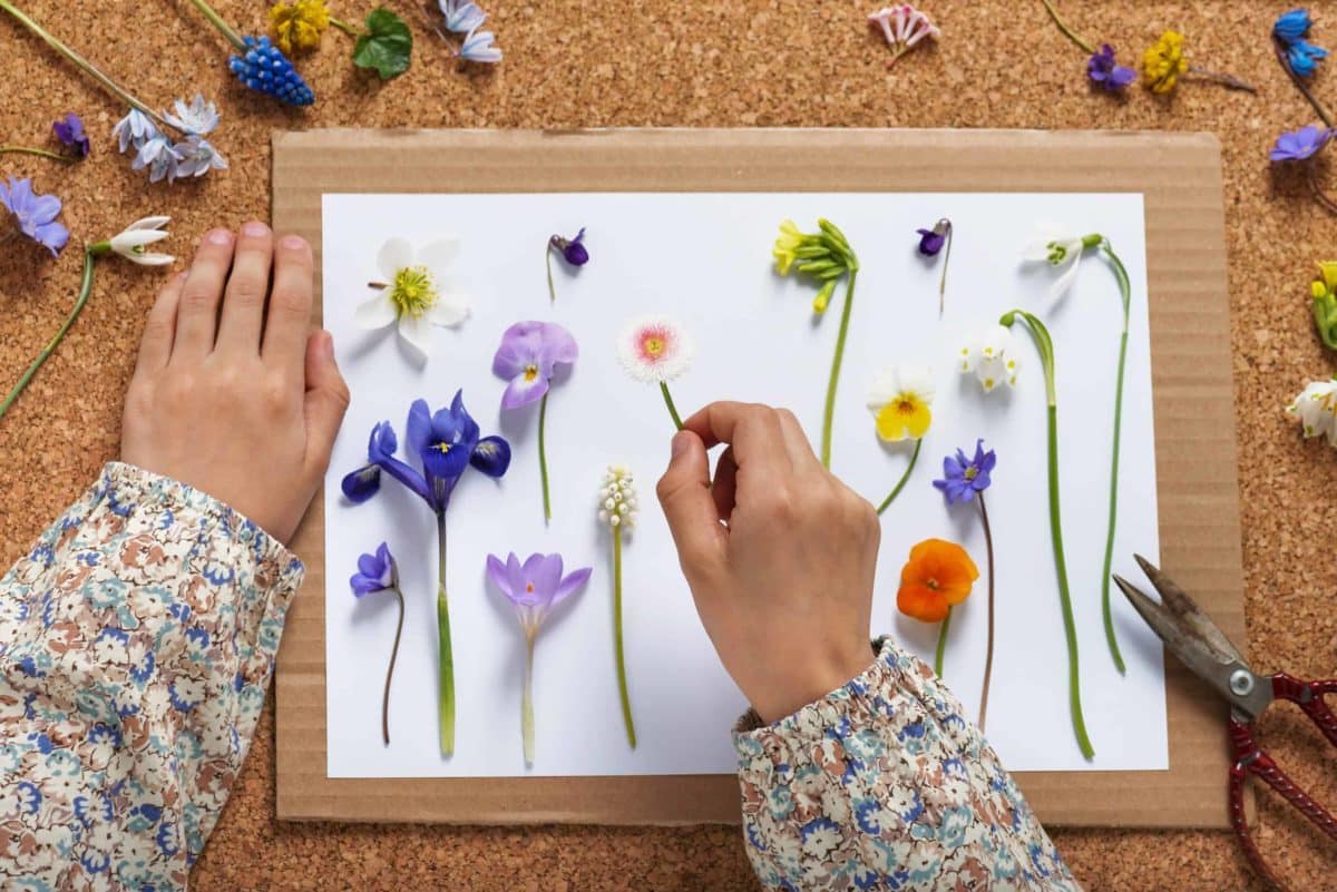 🌸 A Beginner’s Guide to Pressed Flower Frames & Botanical Wall Art