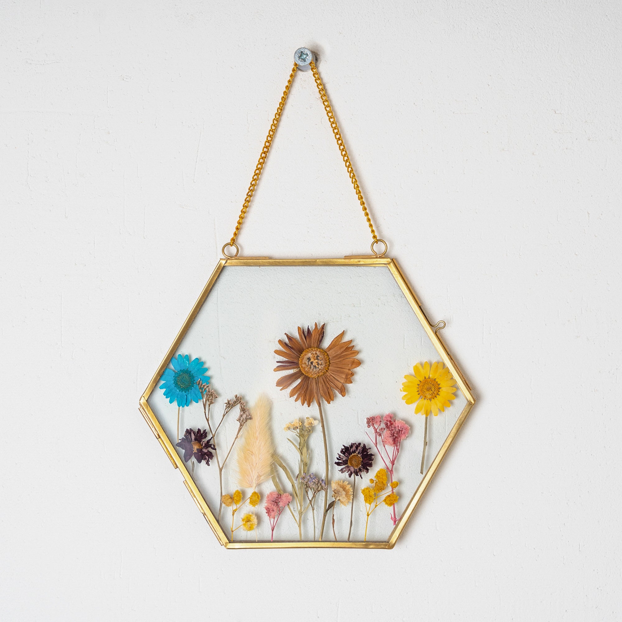 Hexagon Brass Pressed Flower Frame – Artistic Hanging Botanical Wall Art