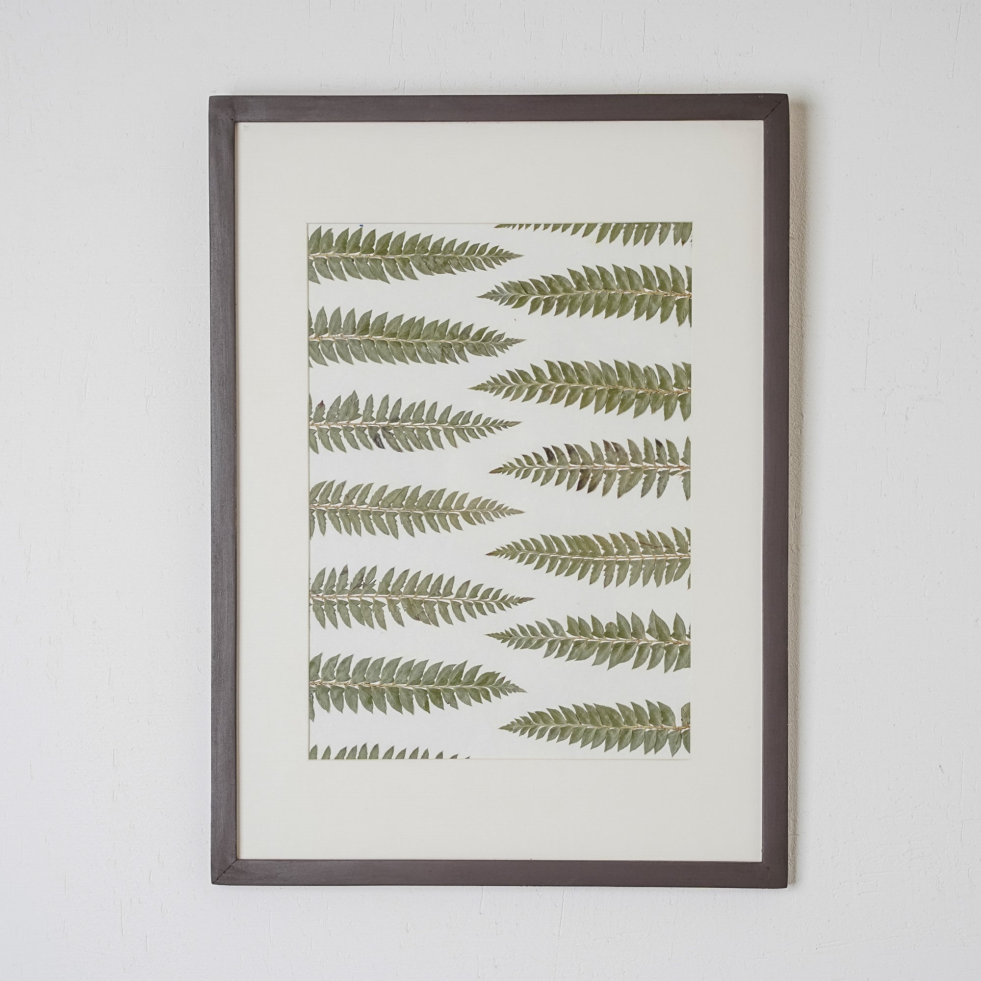 White Daisy Pressed Flower Frame – Handmade Botanical Wall Art for Home Styling