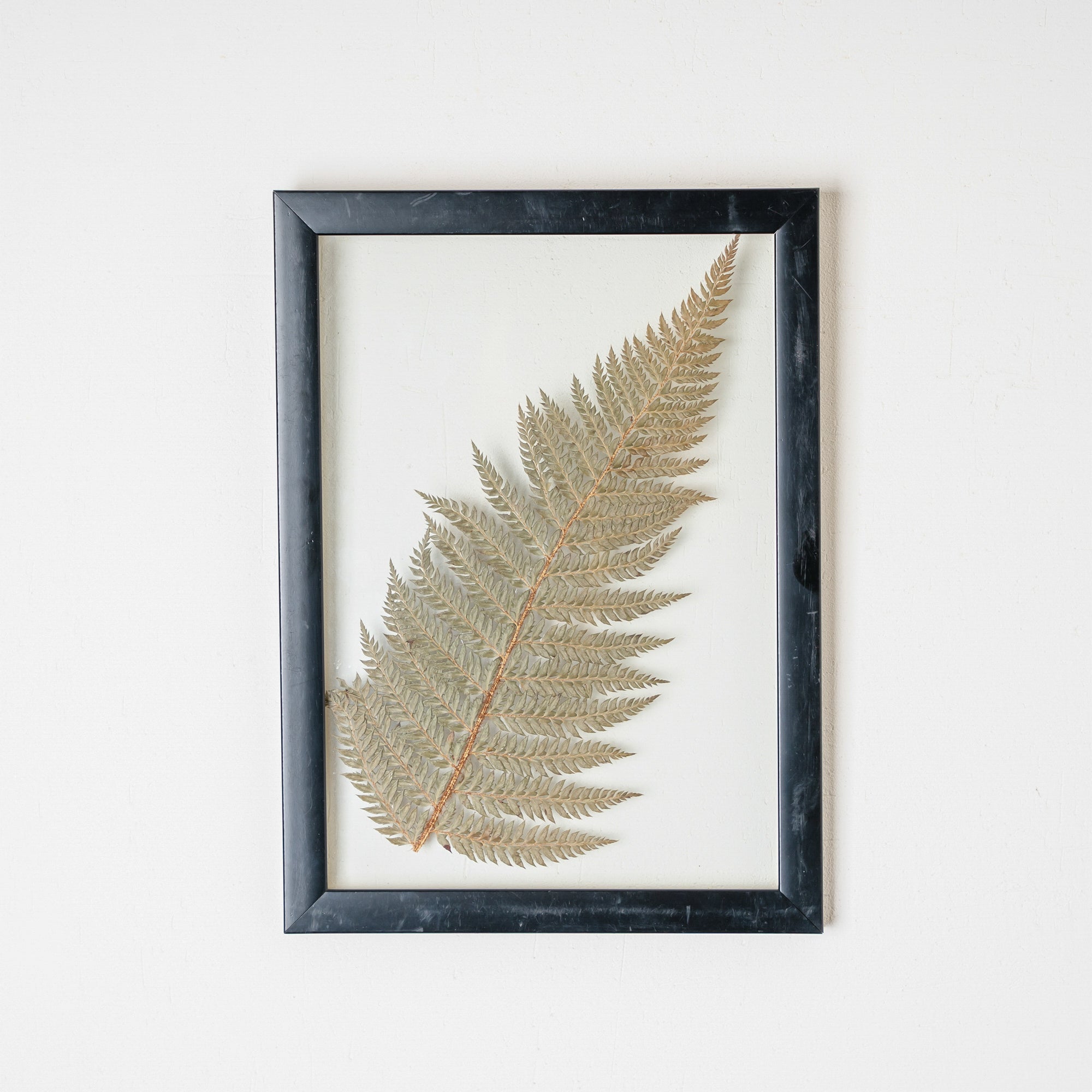 Handmade Pressed Flower Wall Art – Botanical Hanging Décor for Home