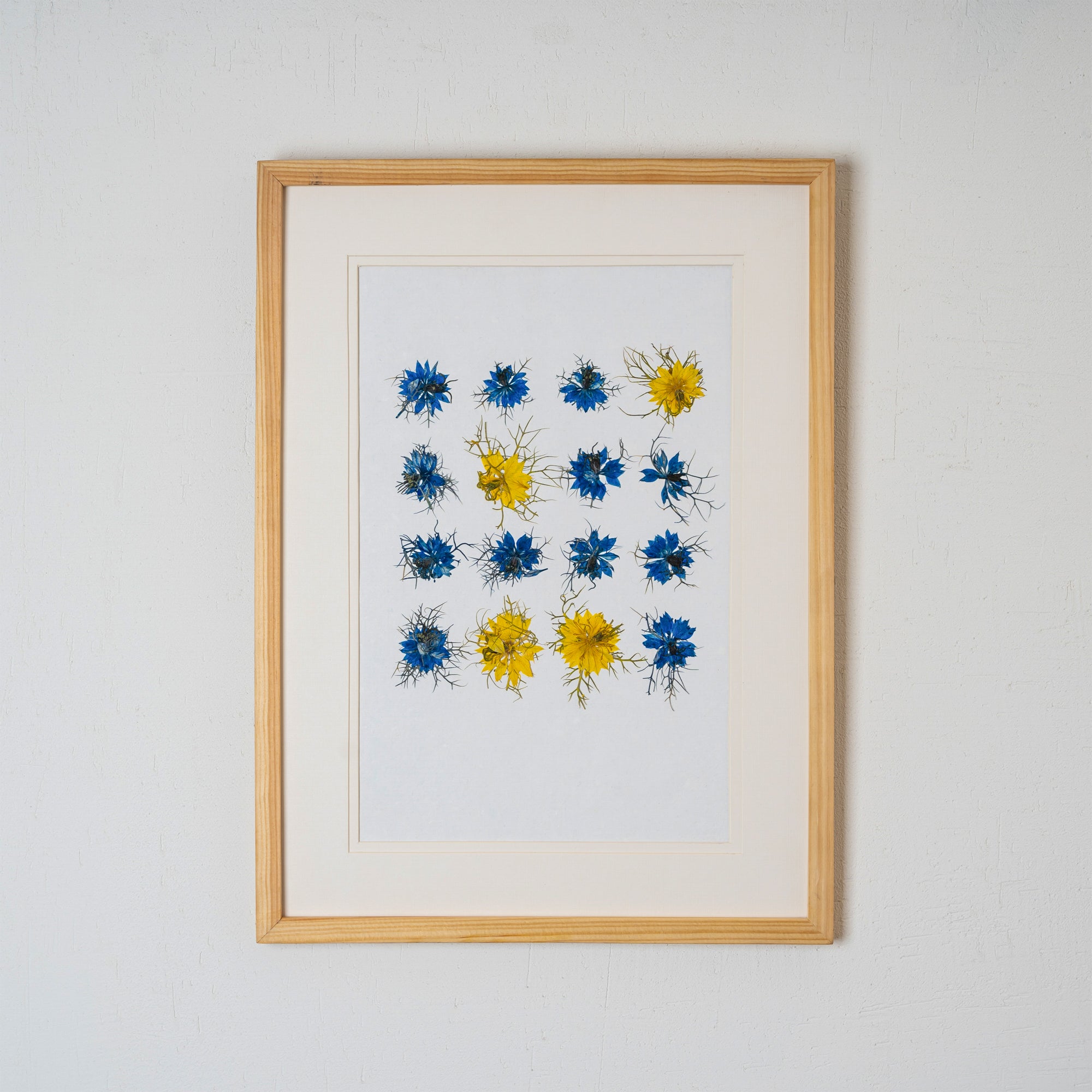 Nigella Pressed Flower Frame – Unique Botanical Wall Art for Home & Gifts