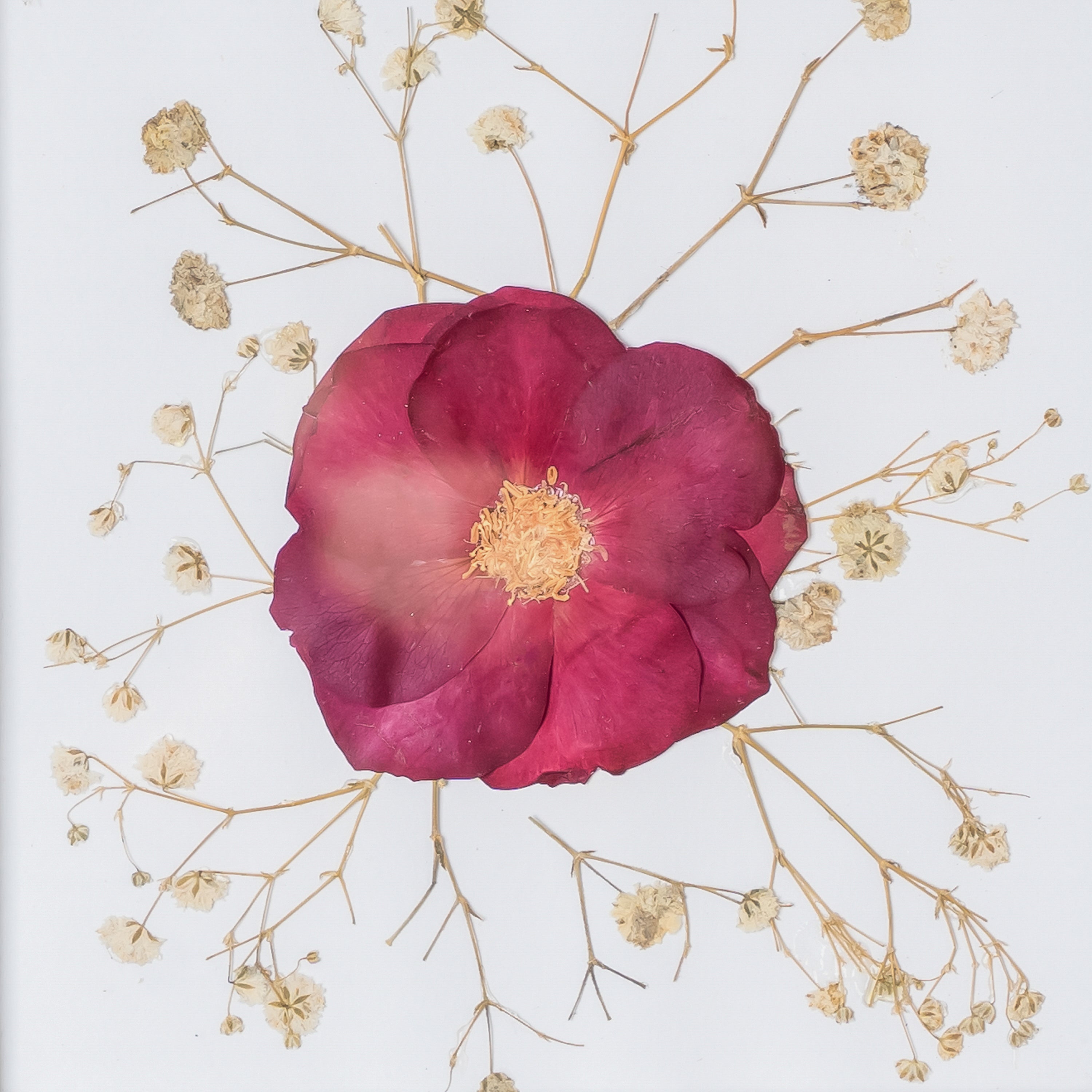 Rose Pressed Flower Frame – Handmade Romantic Gift for Her & Him