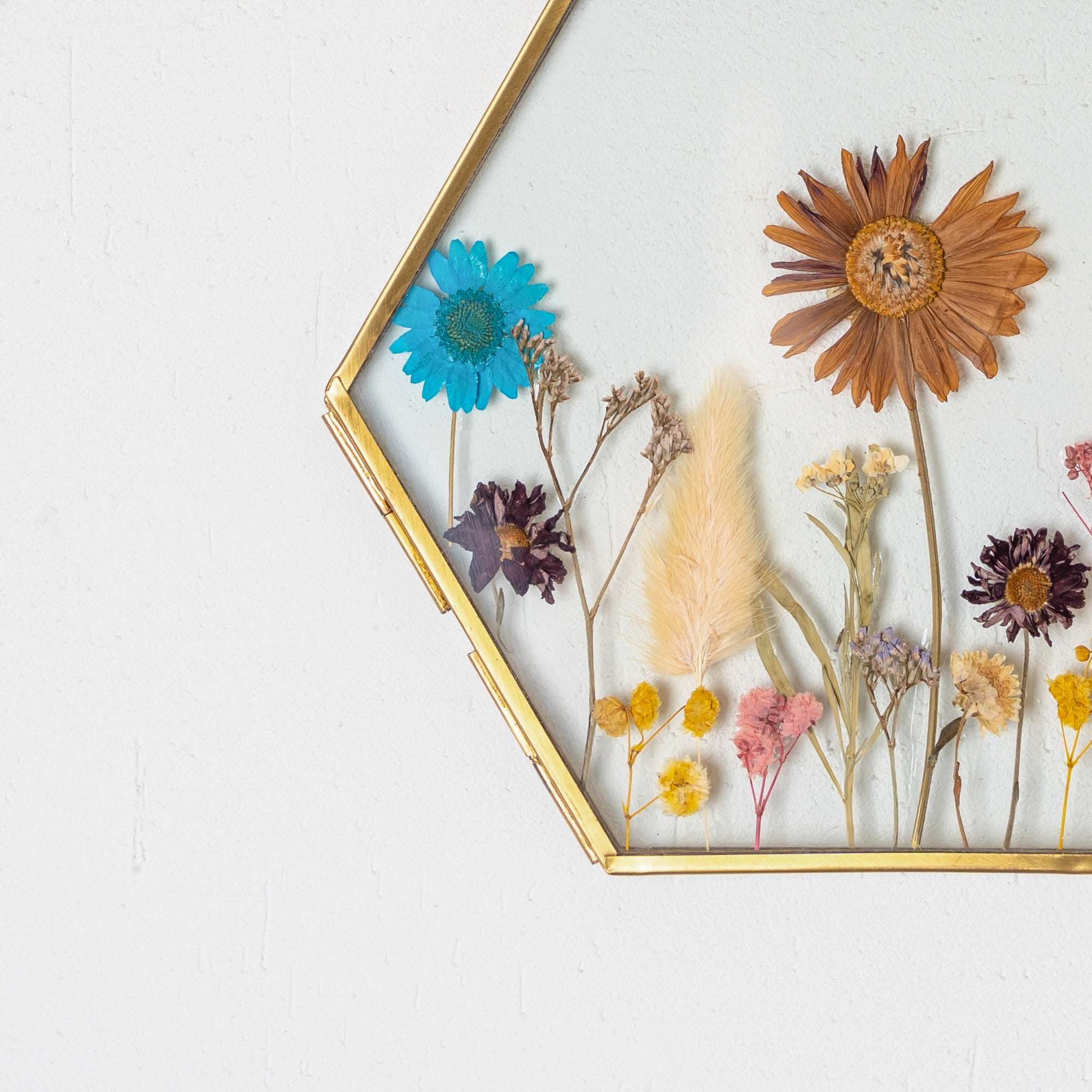 Hexagon Brass Pressed Flower Frame – Artistic Hanging Botanical Wall Art