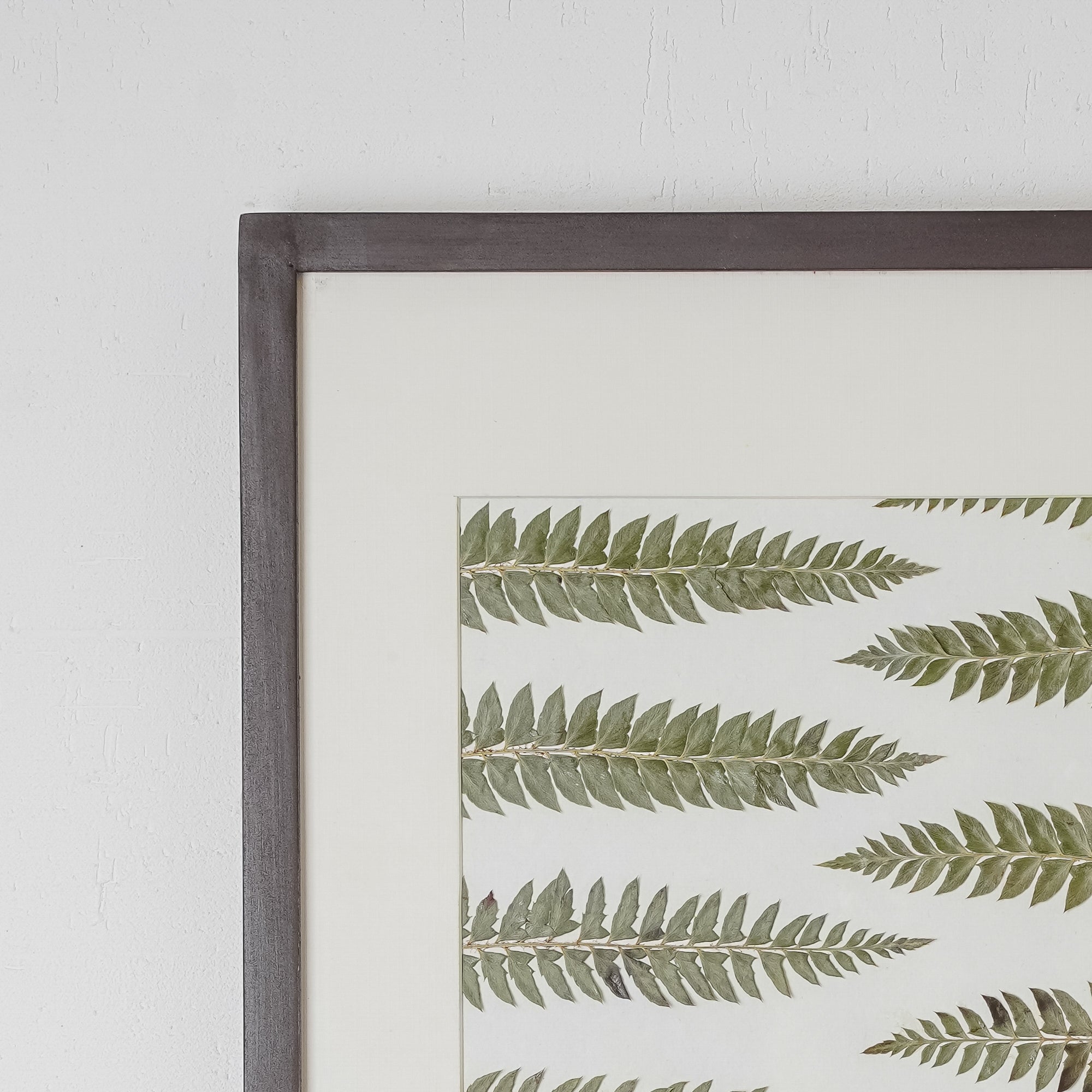 White Daisy Pressed Flower Frame – Handmade Botanical Wall Art for Home Styling