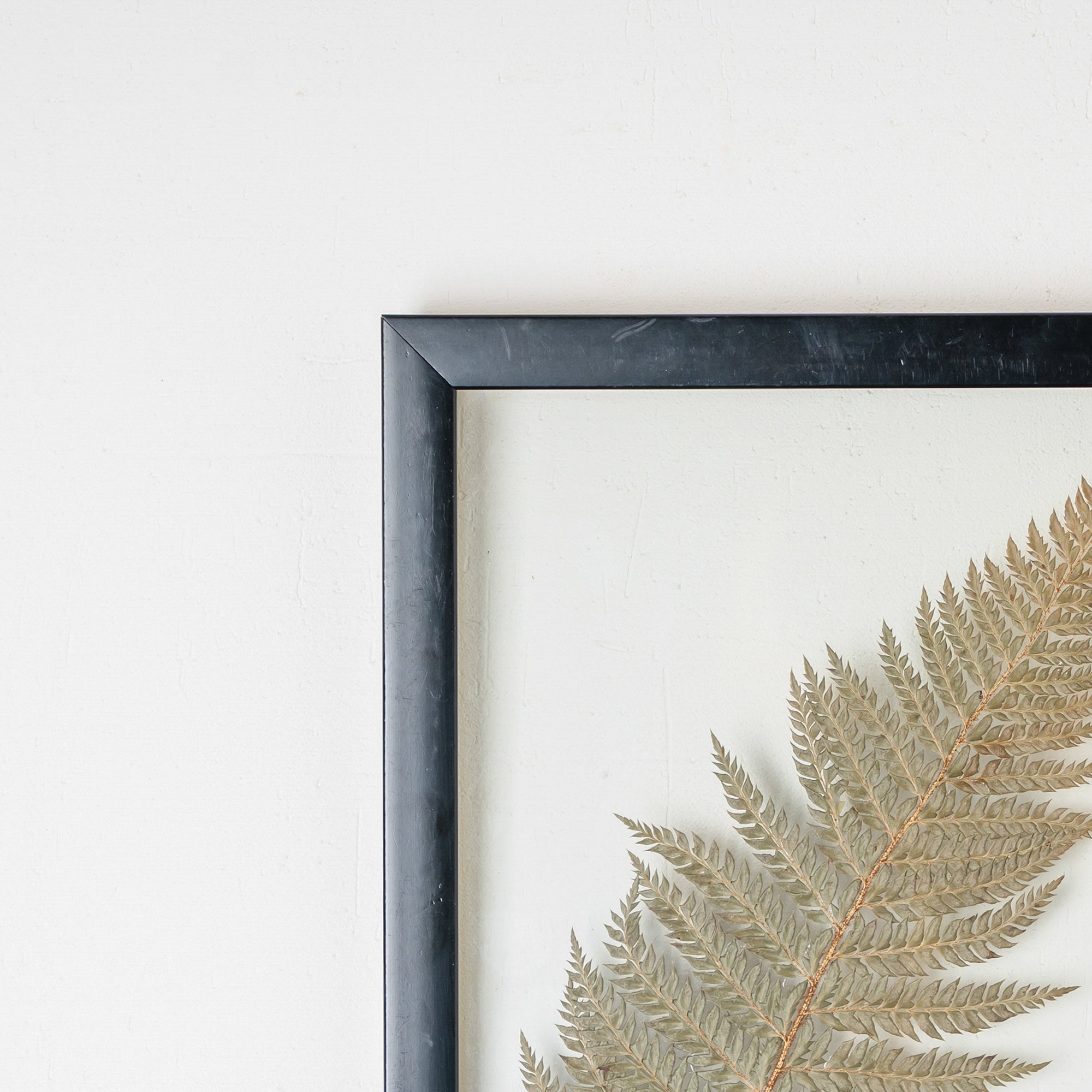 Handmade Pressed Flower Wall Art – Botanical Hanging Décor for Home