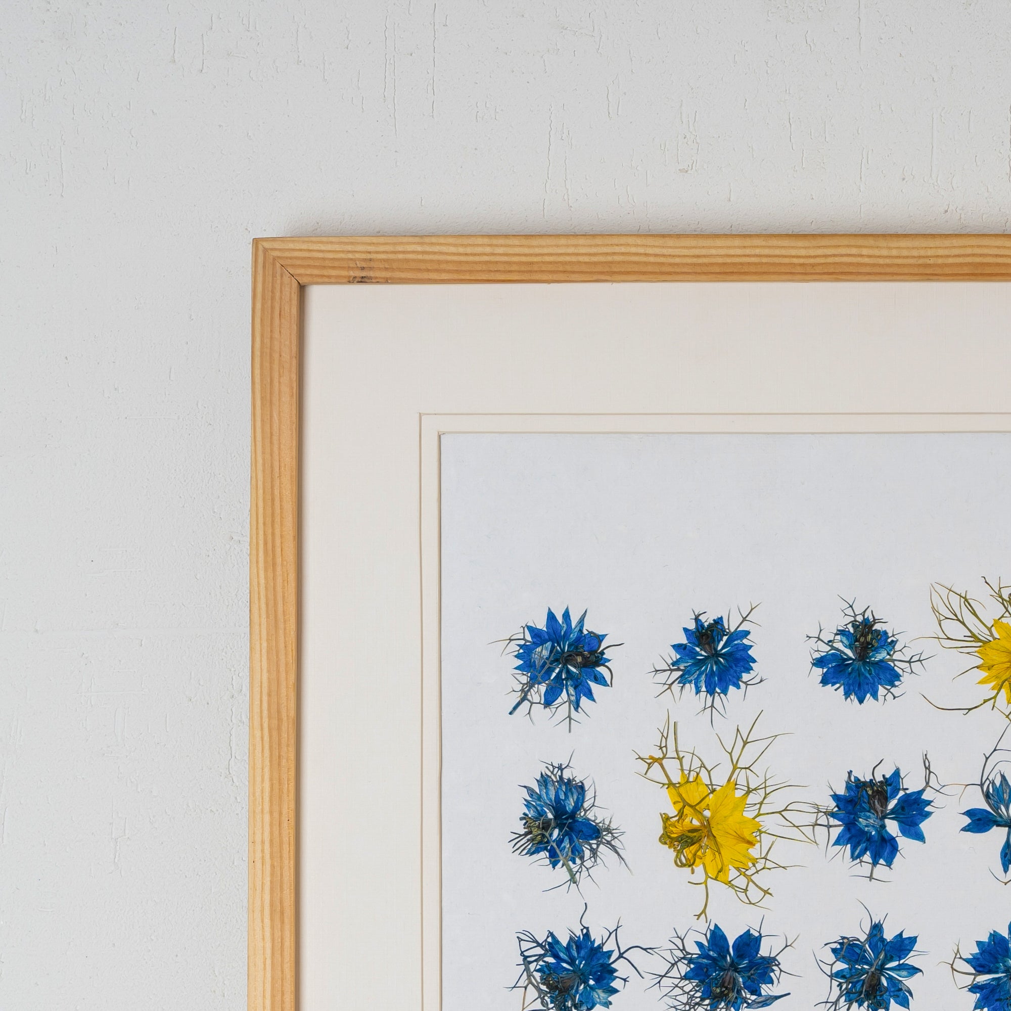 Nigella Pressed Flower Frame – Unique Botanical Wall Art for Home & Gifts