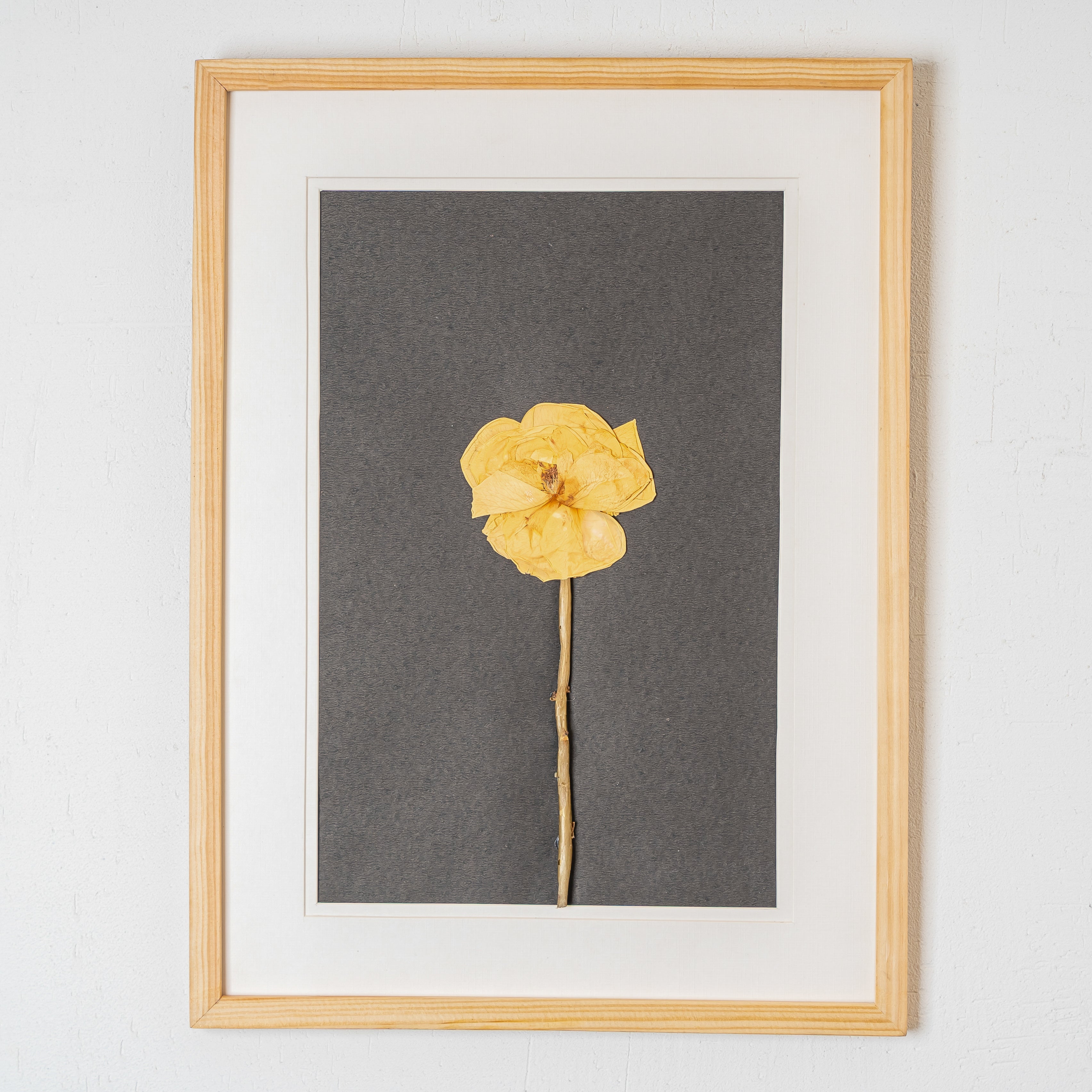 Romantic Rose Pressed Flower Frame – Handmade Gift for Valentine’s Day & Anniversaries