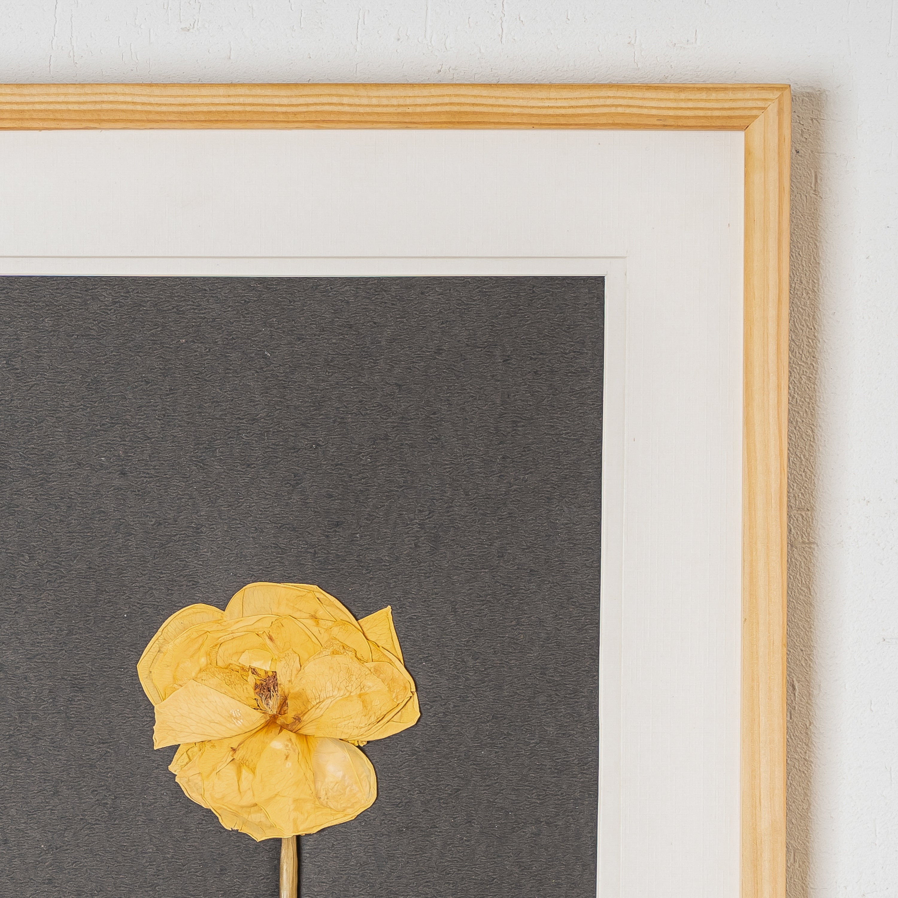 Romantic Rose Pressed Flower Frame – Handmade Gift for Valentine’s Day & Anniversaries
