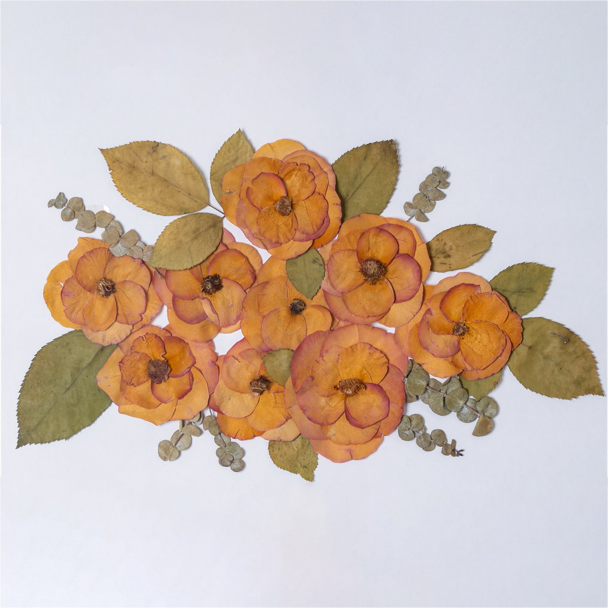 Custom Wedding Pressed Flower Preservation Frame – Handmade Botanical Keepsake