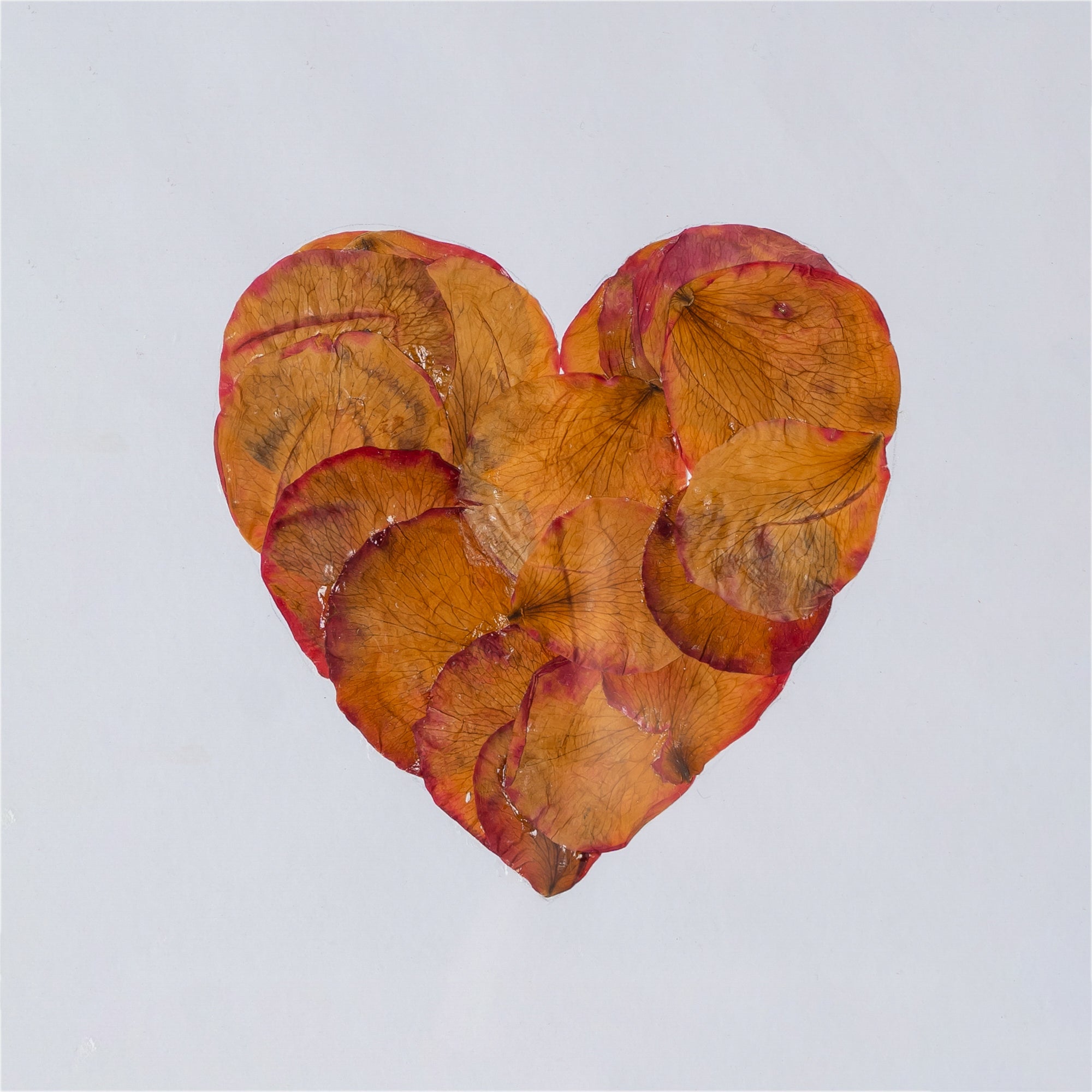 Heart-Shaped Rose Petal Pressed Flower Frame – Keepsake Gift for Valentine’s, Weddings & Mother’s Day