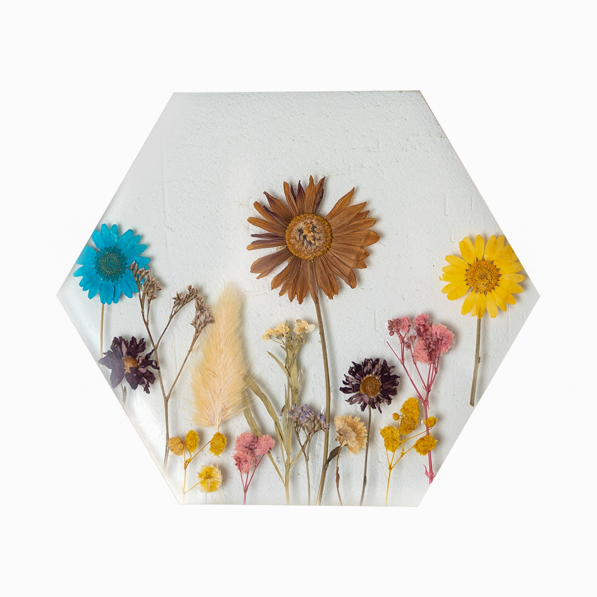 Hexagon Brass Pressed Flower Frame – Artistic Hanging Botanical Wall Art