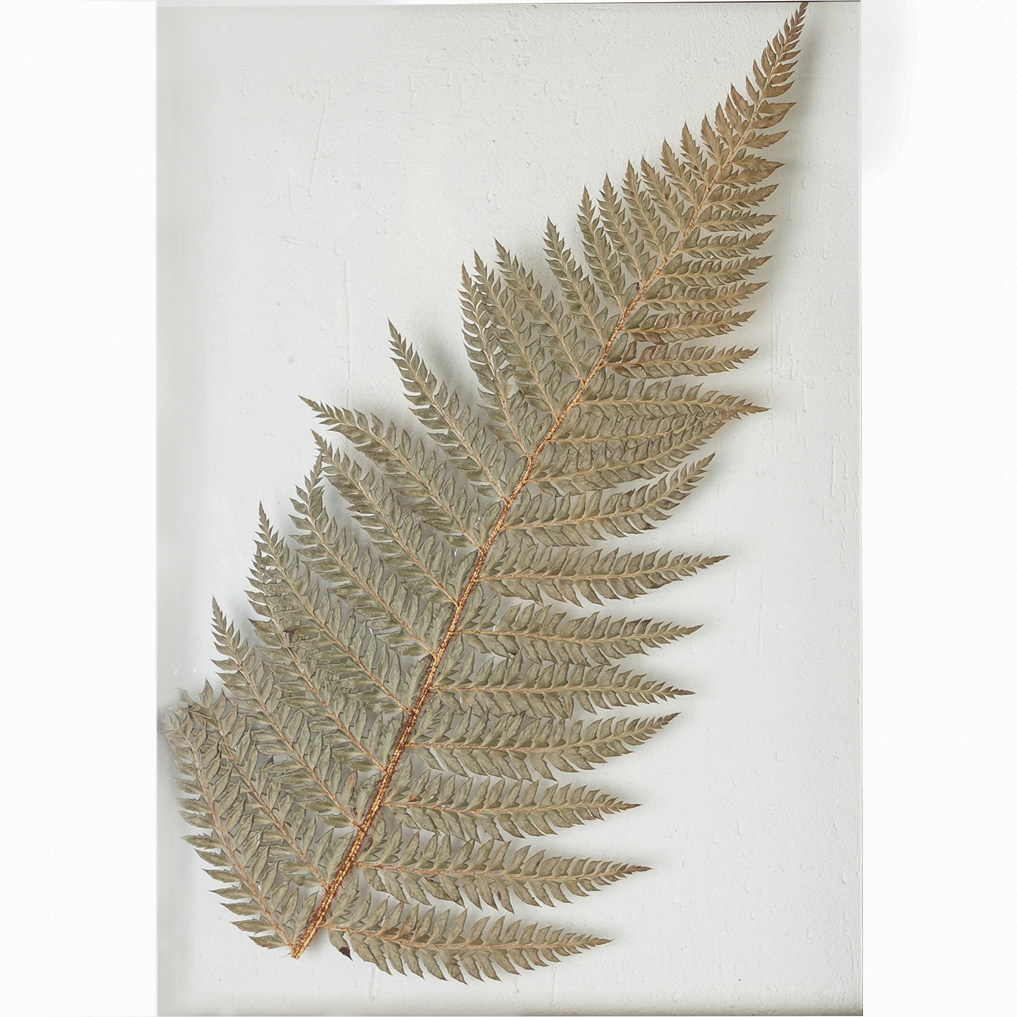 Handmade Pressed Flower Wall Art – Botanical Hanging Décor for Home