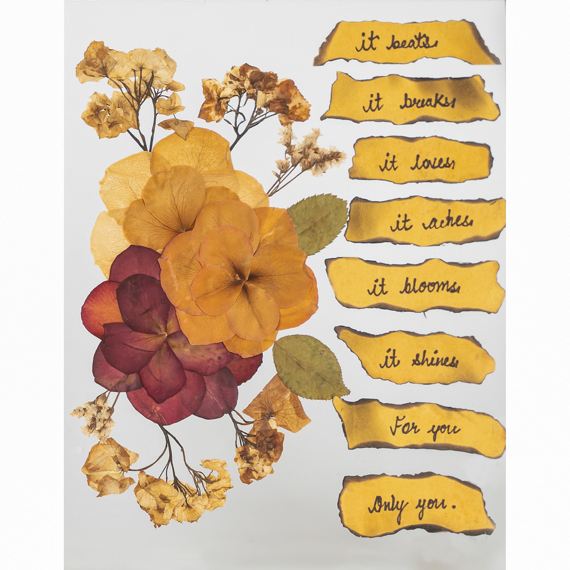 Unique Couple Gift Pressed Flower Frame – With Custom note for Valentine’s & Anniversaries