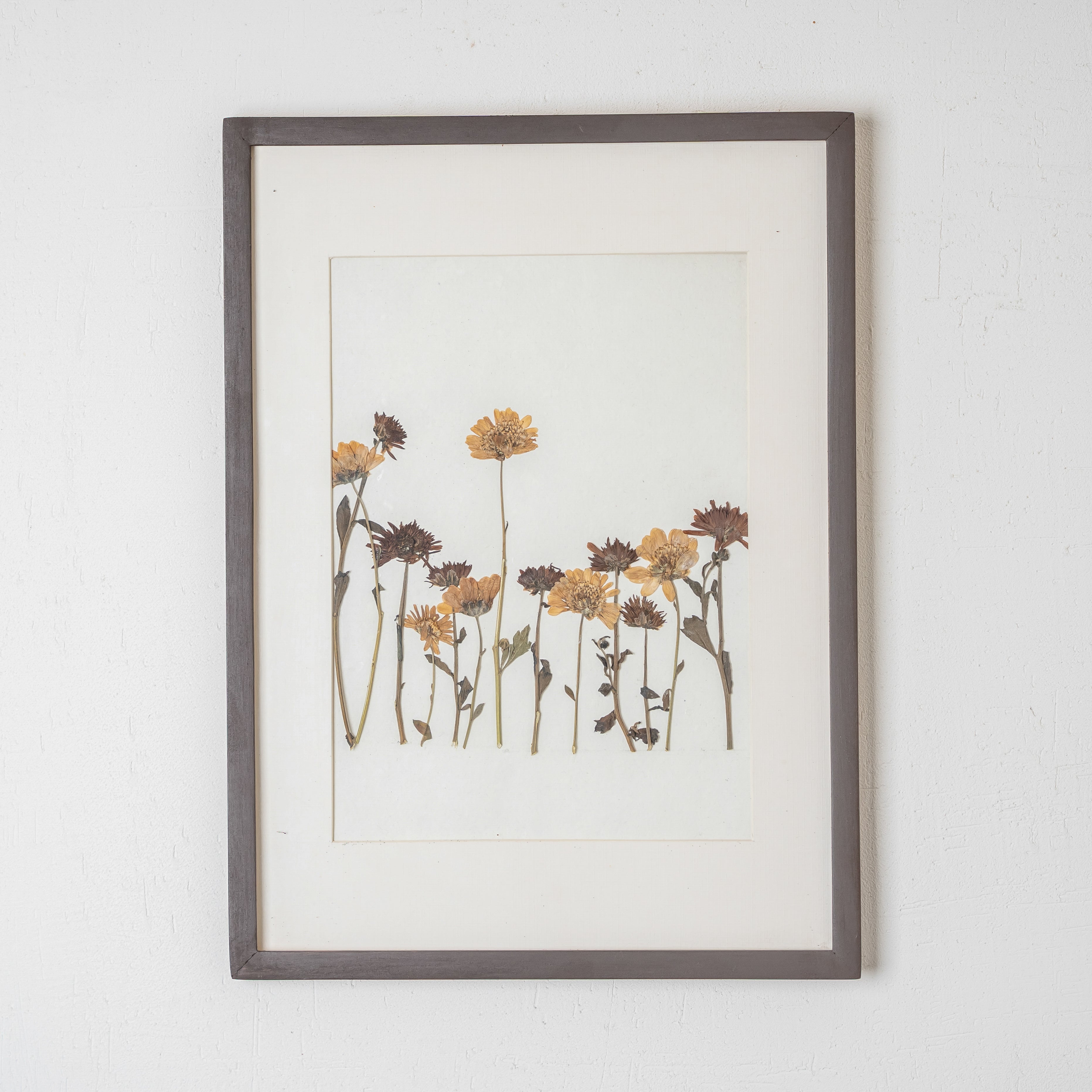 Daisy Pressed Flower Wall Art – Handmade Botanical Décor for Living Room & Gifting