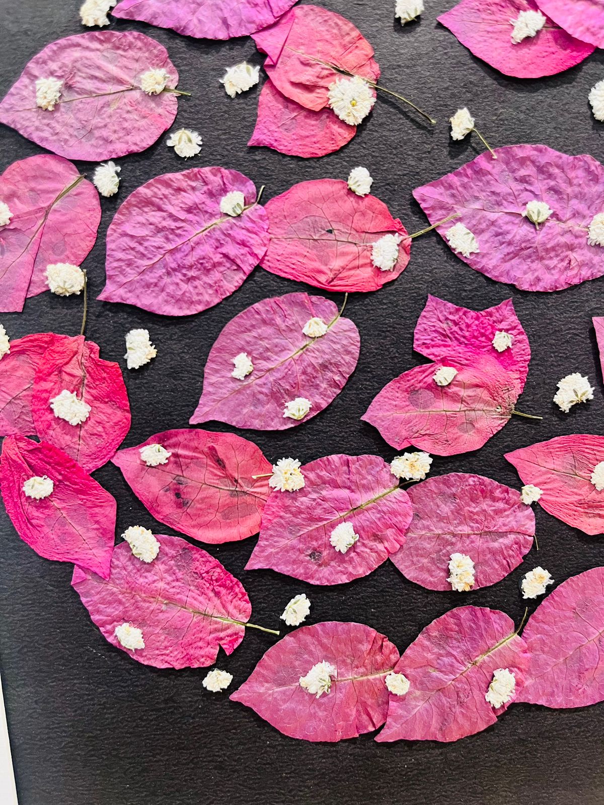 Bougainvillea Pressed Flower Frame – Handmade Botanical Wall Art for Gifting & Décor