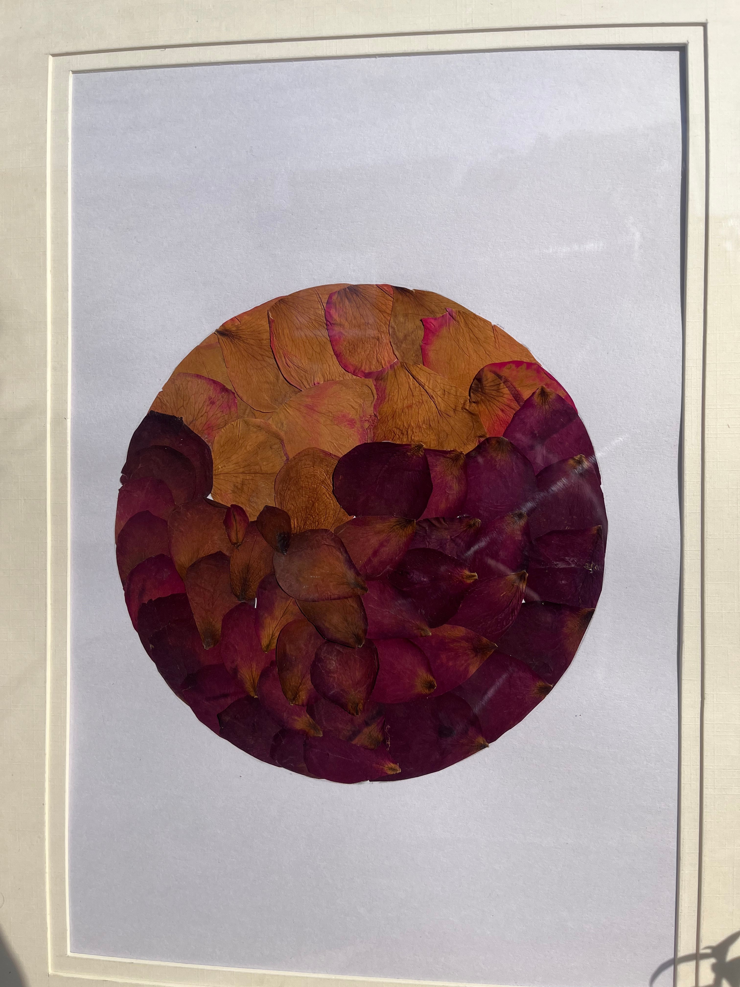 Rose Petal Pressed Flower Frame – Handmade Botanical Wall Décor for Living Room